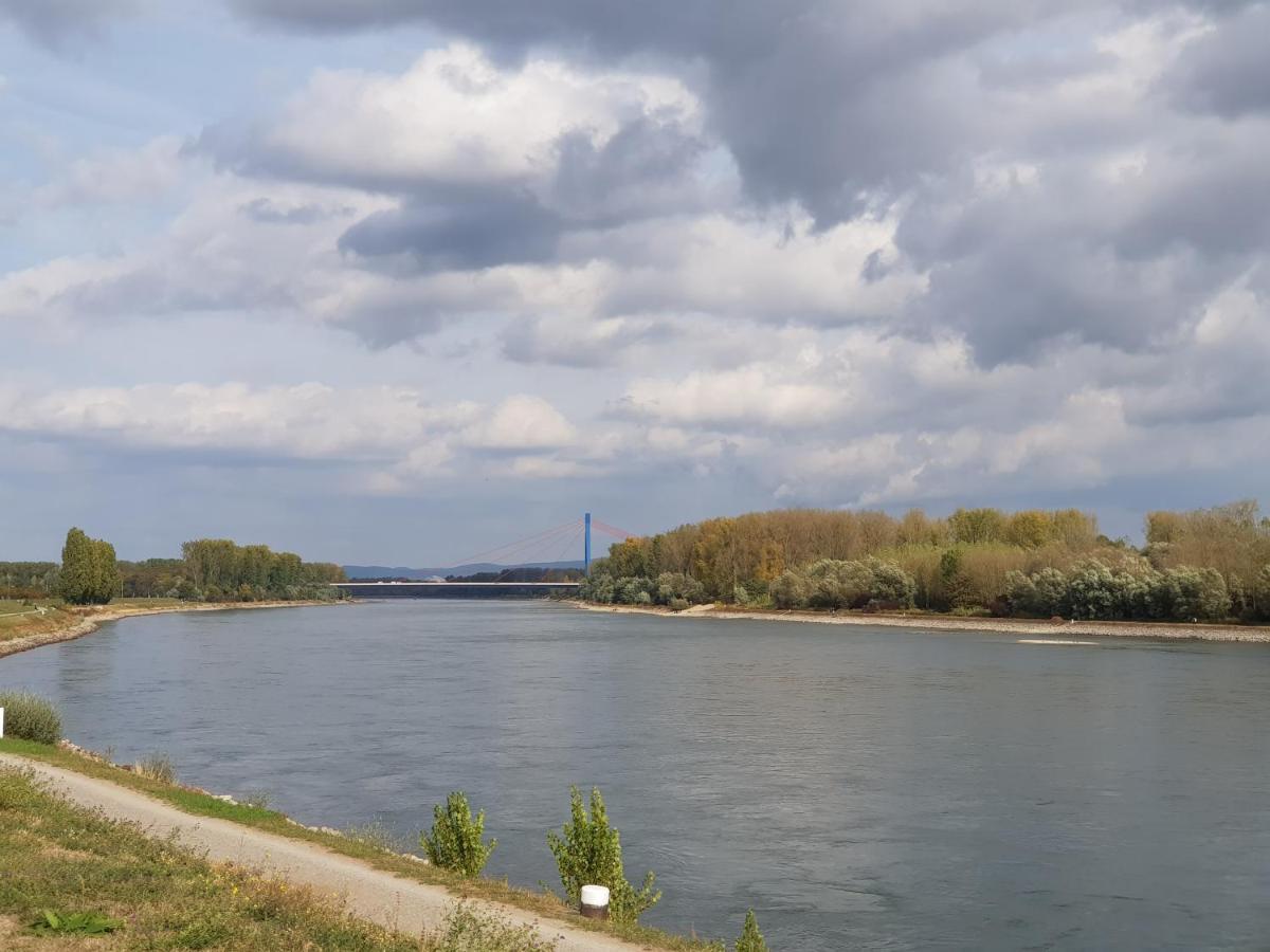 Wohnen Direkt Am Rhein, Zentrums- Und Domnah, 55Qm Lägenhet Speyer Exteriör bild